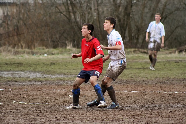 农纳利的稳 农纳利的稳