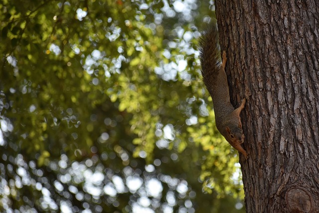 到很多例子 到很多例子