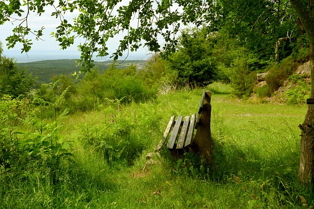 端挥之不去 端挥之不去