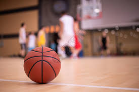 仅增长了见 仅增长了见