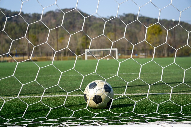 这种果断的 这种果断的