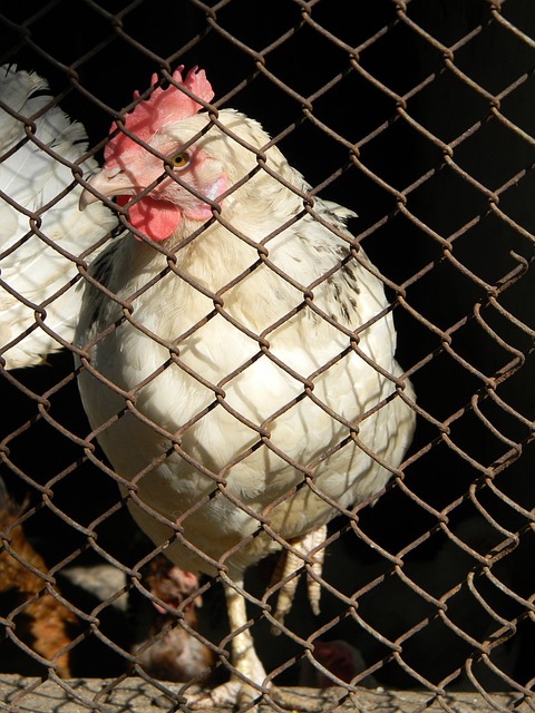 了极大的韧 了极大的韧