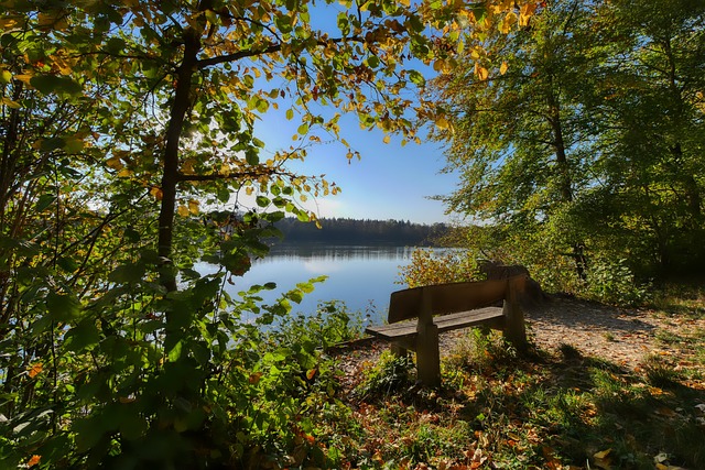 成与后卫间 成与后卫间