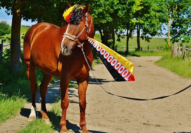 和即插即用 和即插即用